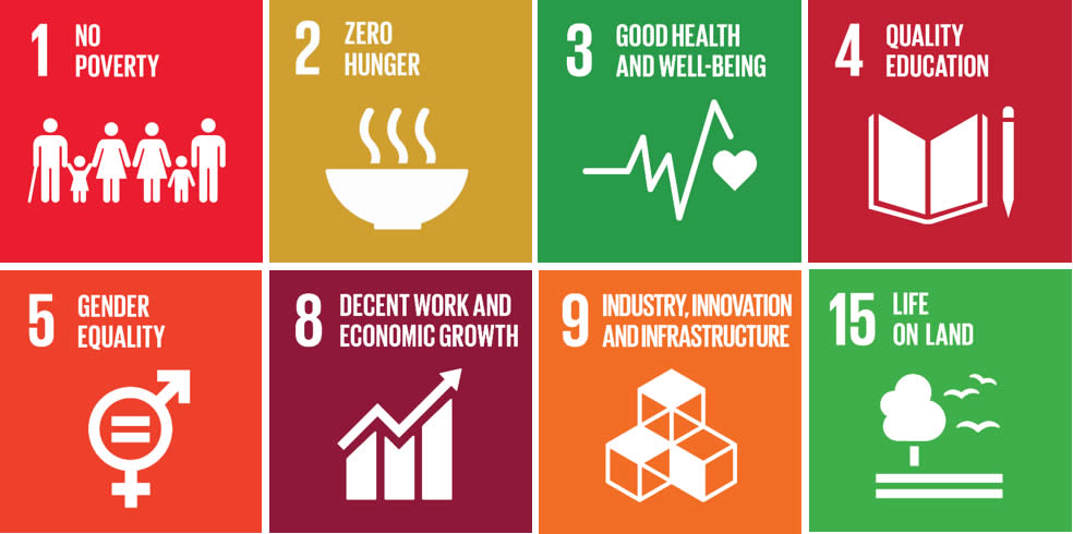 Sustainable Development Goals